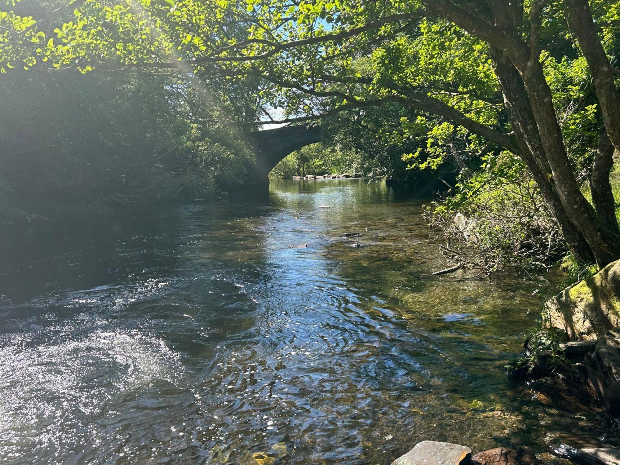 The Cottage - Snowdonia, North Wales Бетезда Екстериор снимка